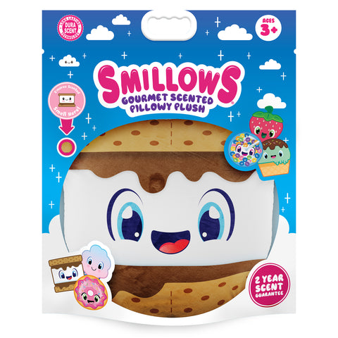 Preview of S'mores in Bag